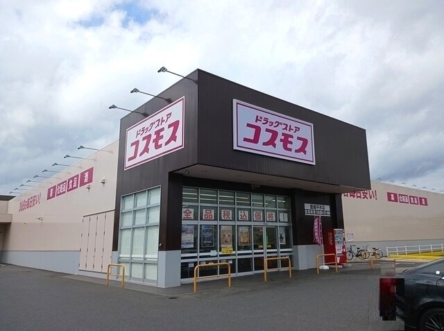 コスモス 鹿嶋平井店