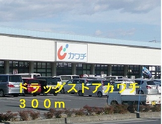 ドラッグストアカワチ