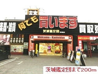 茨城鑑定団