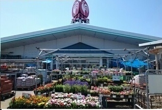 コメリハード＆グリーン　神栖店