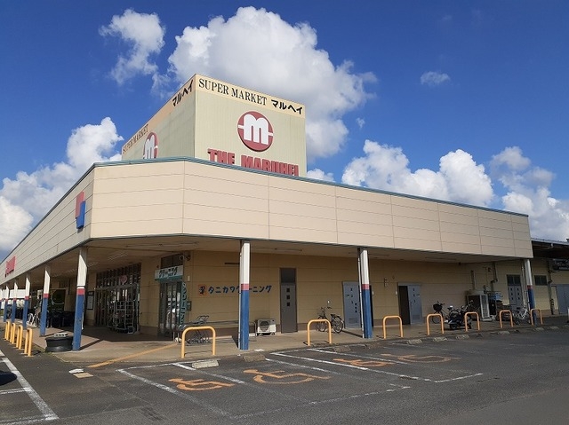 マルヘイ小見川店食品館
