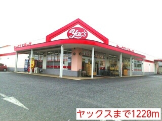 ヤックス