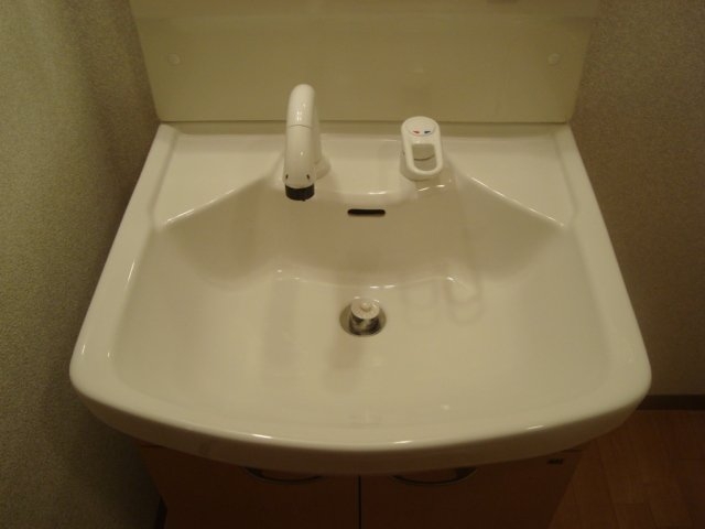 シャンプードレッサー