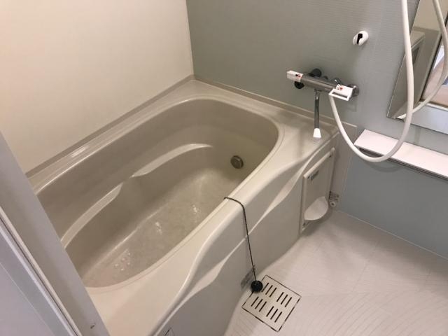 バス