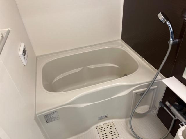 バス