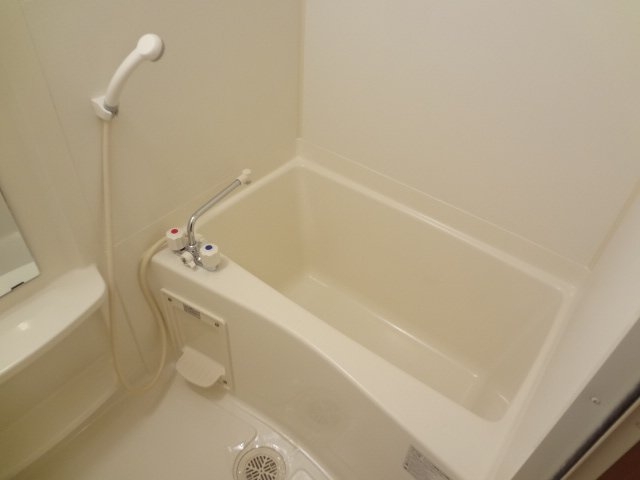 バス