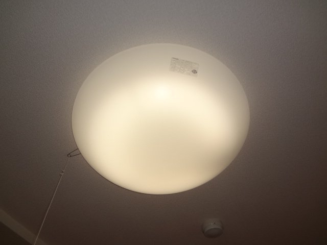 照明