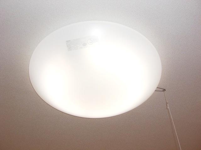 室内照明（イメージ）