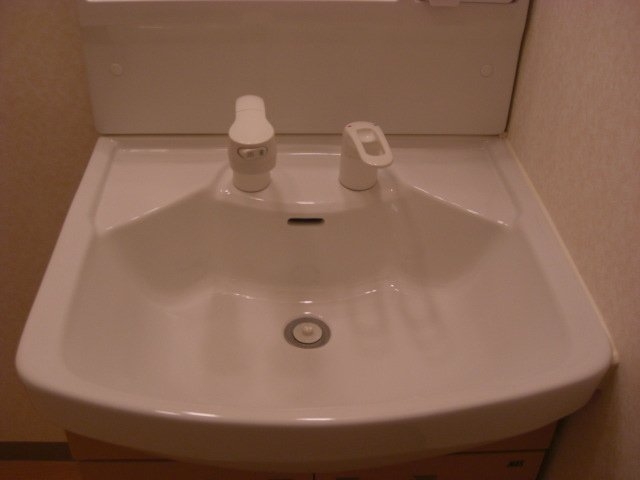 シャンプードレッサー（イメージ）