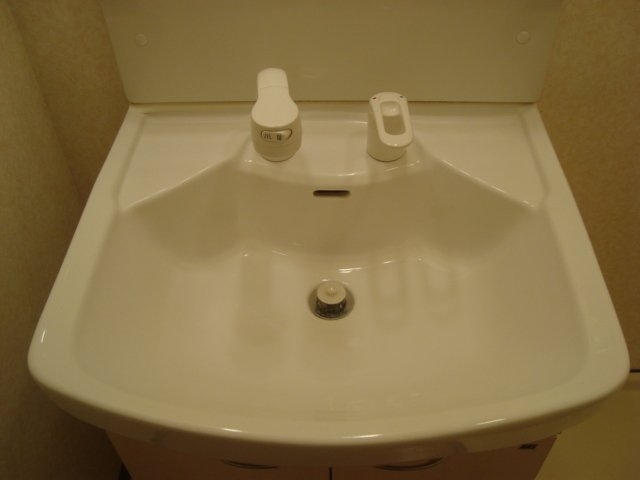 シャンプードレッサー