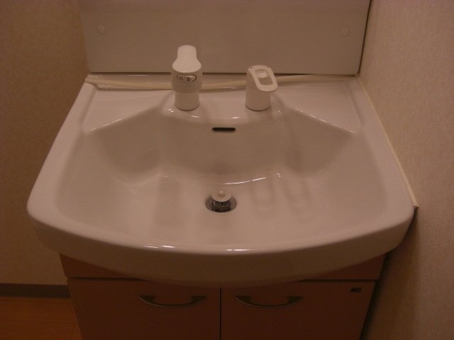 シャンプードレッサー