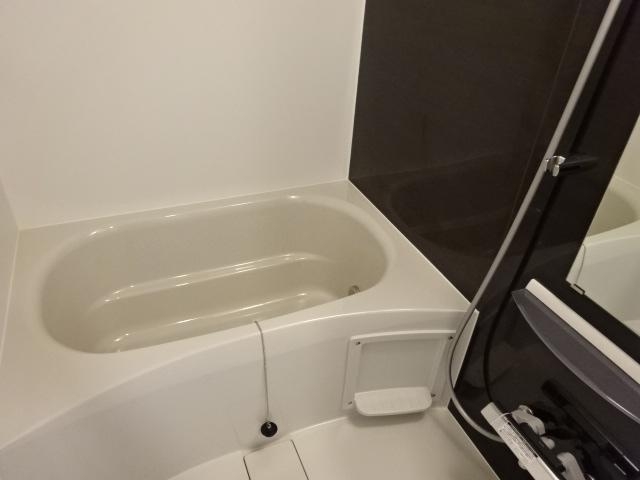 バス