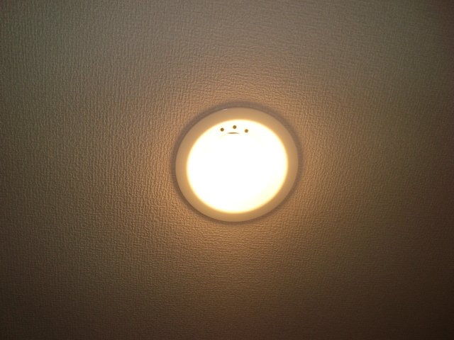 人感センサー付ライト
