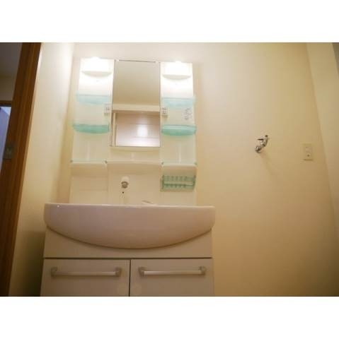 シャンプードレッサー