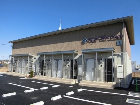 ロイヤル ブルー オーシャン　A 1R(700053987-001-203-C)